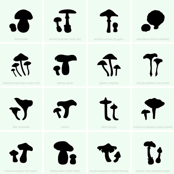Ядовитые и несъедобные грибы — стоковый вектор