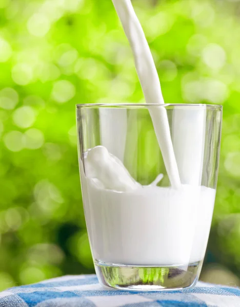 Стекло молока на фоне природы — стоковое фото