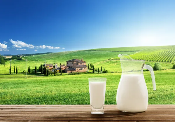 Молоко и солнечный весенний поле — стоковое фото