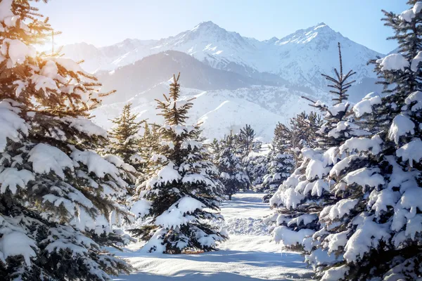 Зимой горные пейзажи — стоковое фото
