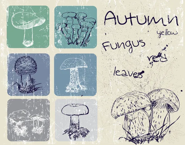 Винтаж плакат с осенние растения и грибы — стоковый вектор