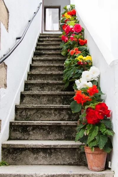Лестница, украшенная красочными цветами — стоковое фото