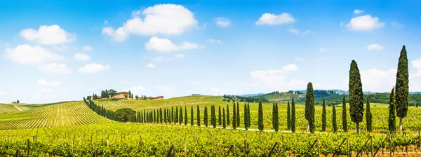 Панорамный вид на живописный пейзаж Тосканы с виноградником в Италии область, Тоскана, Кьянти — стоковое фото