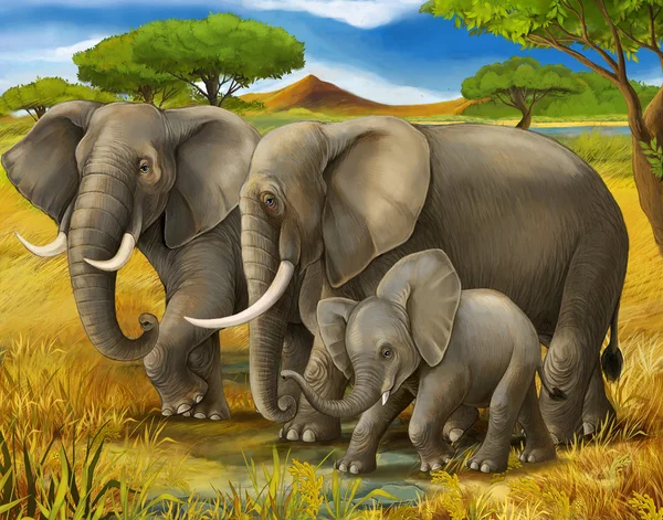 Сафари - слоны - иллюстрация для детей — стоковое фото