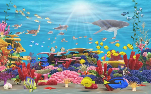 Подводный рай — стоковое фото