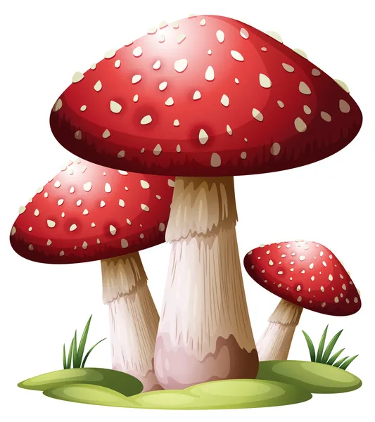 Красный гриб — стоковый вектор