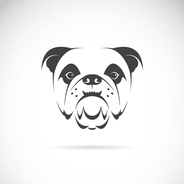 Vector image of an dog face (bulldog) — стоковый вектор