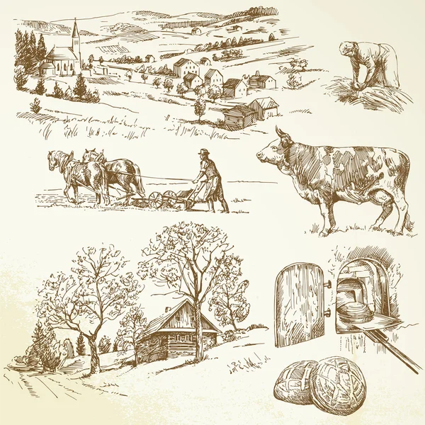 Сельский пейзаж, сельское хозяйство, занимаясь сельским хозяйством — стоковый вектор