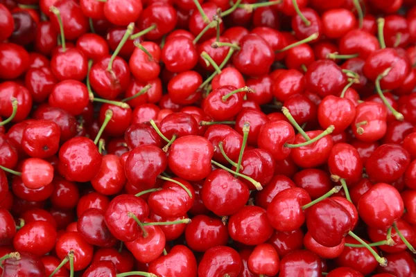 Спелые красные вишни с фоном палочки — стоковое фото