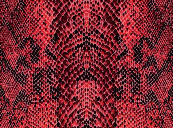 Красный рептилия фон модель кожи — стоковое фото