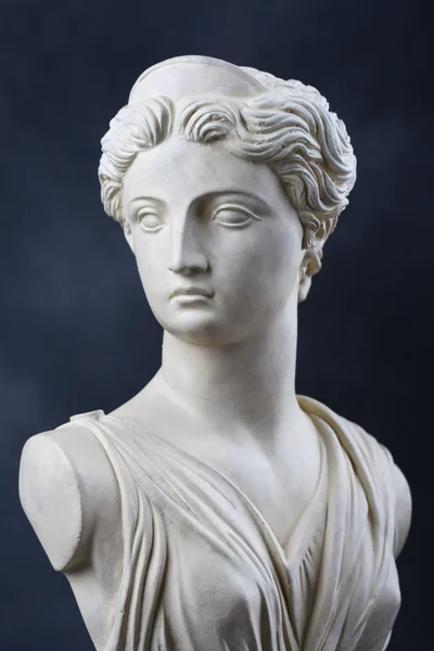 Artemis - каменный бюст — стоковое фото