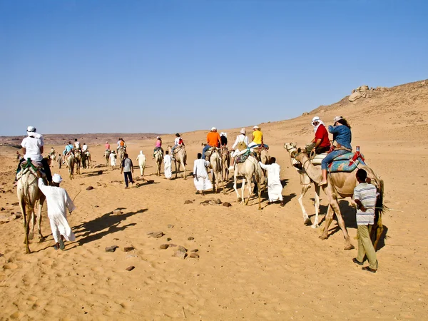 Караван туристов в верблюдов, пересекая Nubian пустыне — стоковое фото