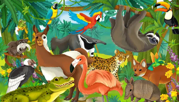 Мультфильм джунгли — стоковое фото