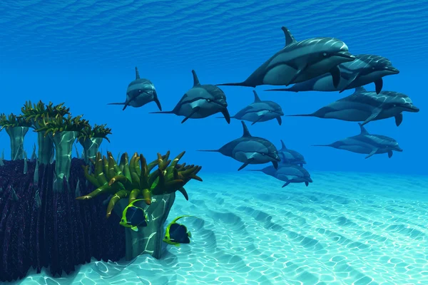 Полосатые морские дельфины — стоковое фото