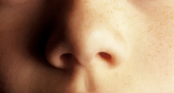 Нос — стоковое фото
