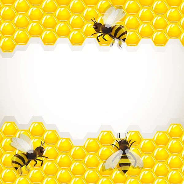 Закройте точку зрения пчел-работниц на honeycells — стоковый вектор