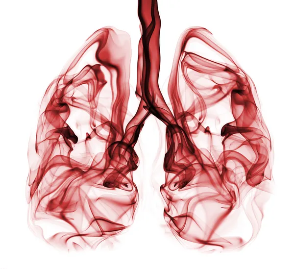 Красный задымление в форме человеческих легких. Иллюстрация легких курильщиков, которые могут быть использованы в кампании рака легких или кампаниях-для некурящих — стоковое фото