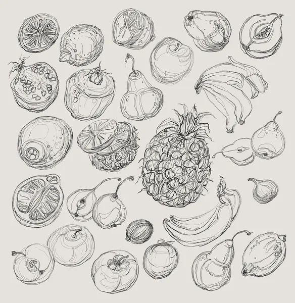 Набор фруктов. Рисунок от руки — стоковый вектор
