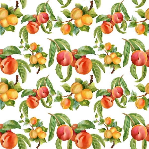 Абрикосы и персики — стоковое фото