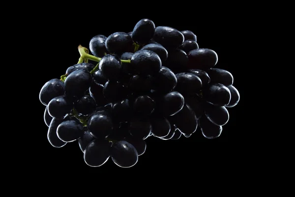 Гроздь винограда изолированные — стоковое фото