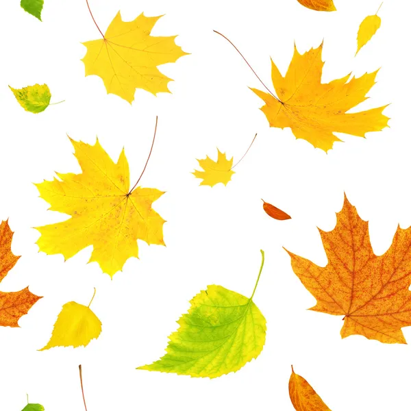 Бесшовный фон с летающими осенние листья — стоковое фото