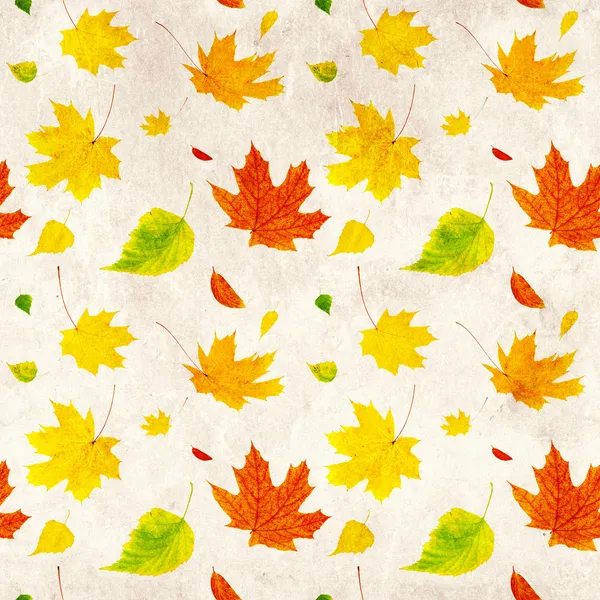 Бесшовные гранж-фон с летающими осенние листья — стоковое фото