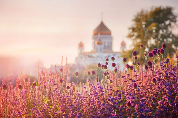 Вид на Собор Христа Спасителя в Москве Стоковое Изображение