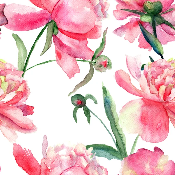 Красивые пионы цветы, живопись акварелью — стоковое фото