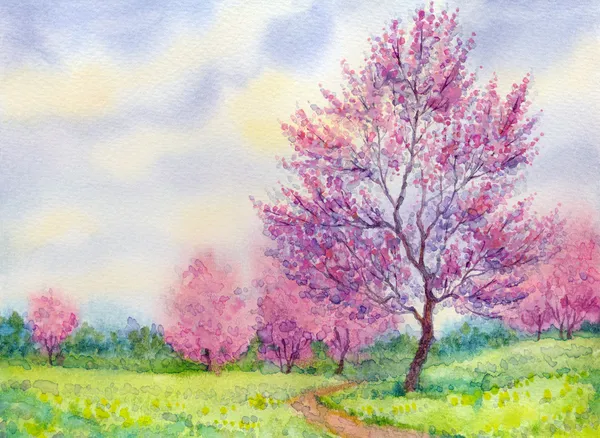 Акварельный пейзаж весны. цветущее дерево в области — стоковое фото