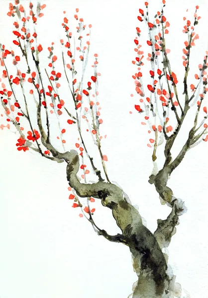 Акварельный фон. красные цветы на ветки деревьев — стоковое фото