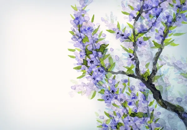 Фон акварель весны. Голубые цветы на ветки деревьев — стоковое фото
