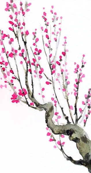 Акварельный фон. Малиновый цветы на ветки деревьев — стоковое фото
