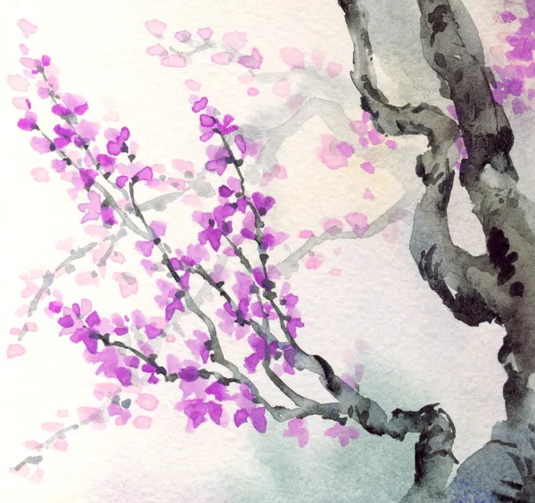 Фон акварель весны. фиолетовые цветы на дерево филиал — стоковое фото