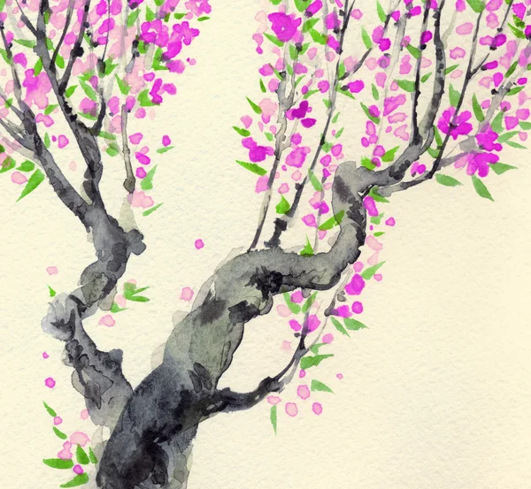Акварельный фон в японском стиле. фиолетовые цветы на дереве — стоковое фото