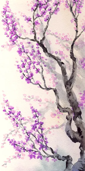 Акварель фон весной. фиолетовые цветы на ветвях деревьев — стоковое фото