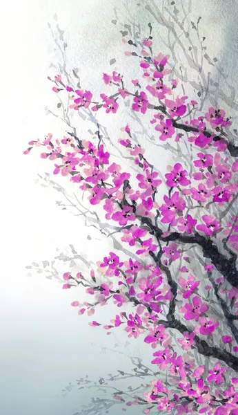 Акварельная живопись. ветви вишни расцветов Лицензионные Стоковые Изображения