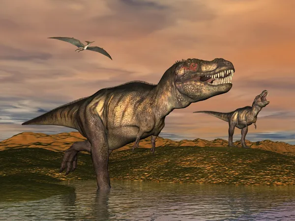 Тиранозавр Динозавры - 3d визуализация — стоковое фото