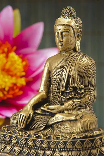 Будда Стоковое Изображение