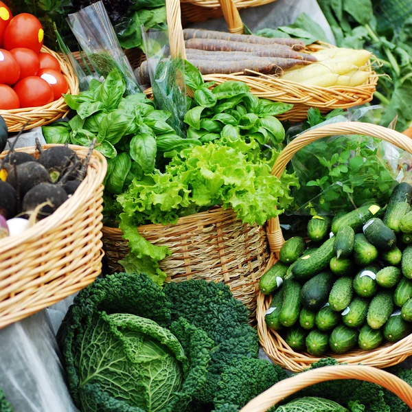 Много различных экологических овощей Стоковое Изображение