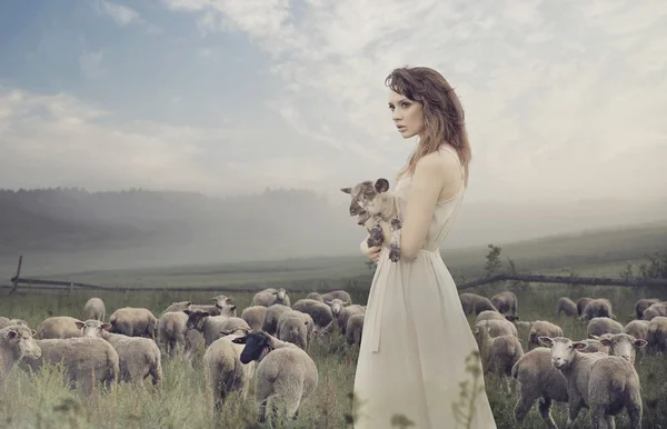 Чувственная леди среди sheeps Стоковое Фото