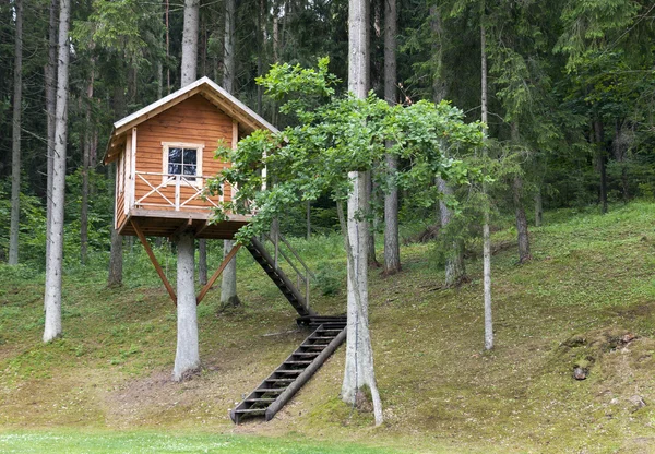Дерево дом в лесу Стоковое Фото