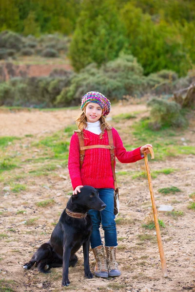 Ребенок девочка пастушка счастлива с собакой и стадо овец Лицензионные Стоковые Фото
