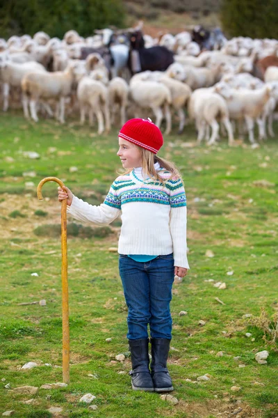 Ребенок девочка пастушка доволен стадо овец и палка Стоковая Картинка