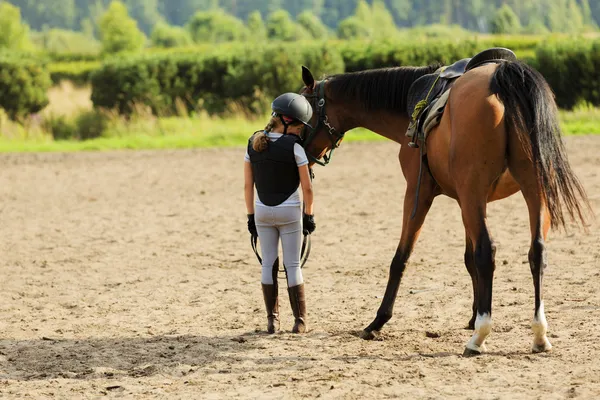 Лошади и конный милая девушка — стоковое фото