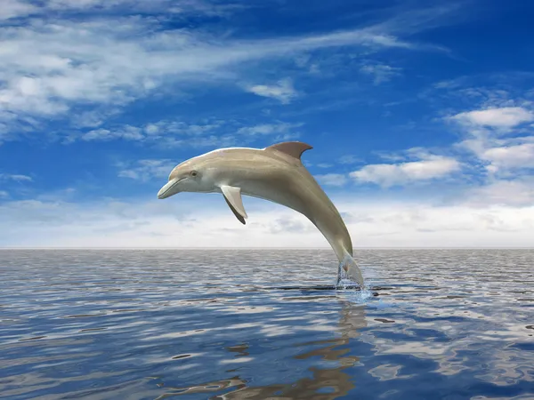 Дельфин Лицензионные Стоковые Изображения