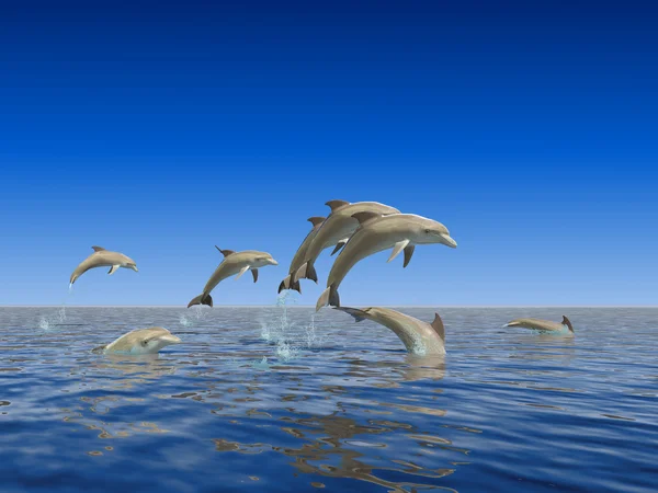 Дельфины Стоковая Картинка