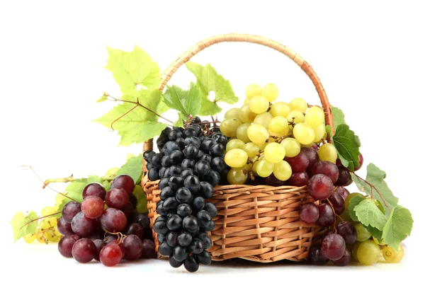 Ассортимент спелый Сладкий виноград в корзине, изолированные на белом — стоковое фото