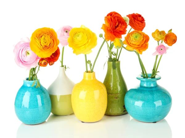 Лютик (персидские лютики) в вазах, изолированные на белом — стоковое фото
