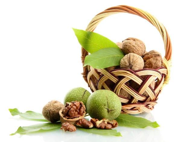 Грецкие орехи с зелеными листьями в корзине, изолированные на белом — стоковое фото