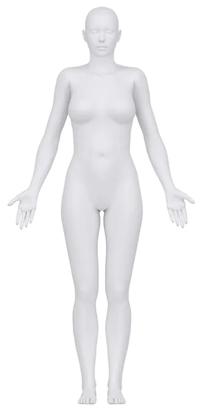 Белая женская фигура в анатомическом положении anteriror вид — стоковое фото